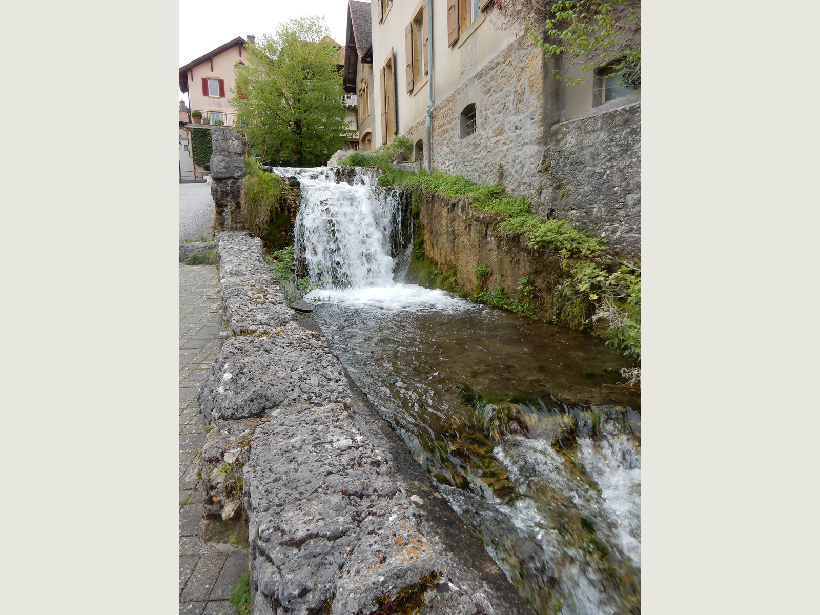Ruau stream in Saint-Blaise, canton Neuchâtel, photographed in 2023